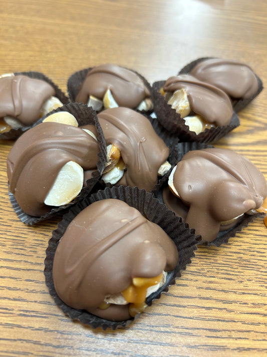 Macadamia Nut Turtles
